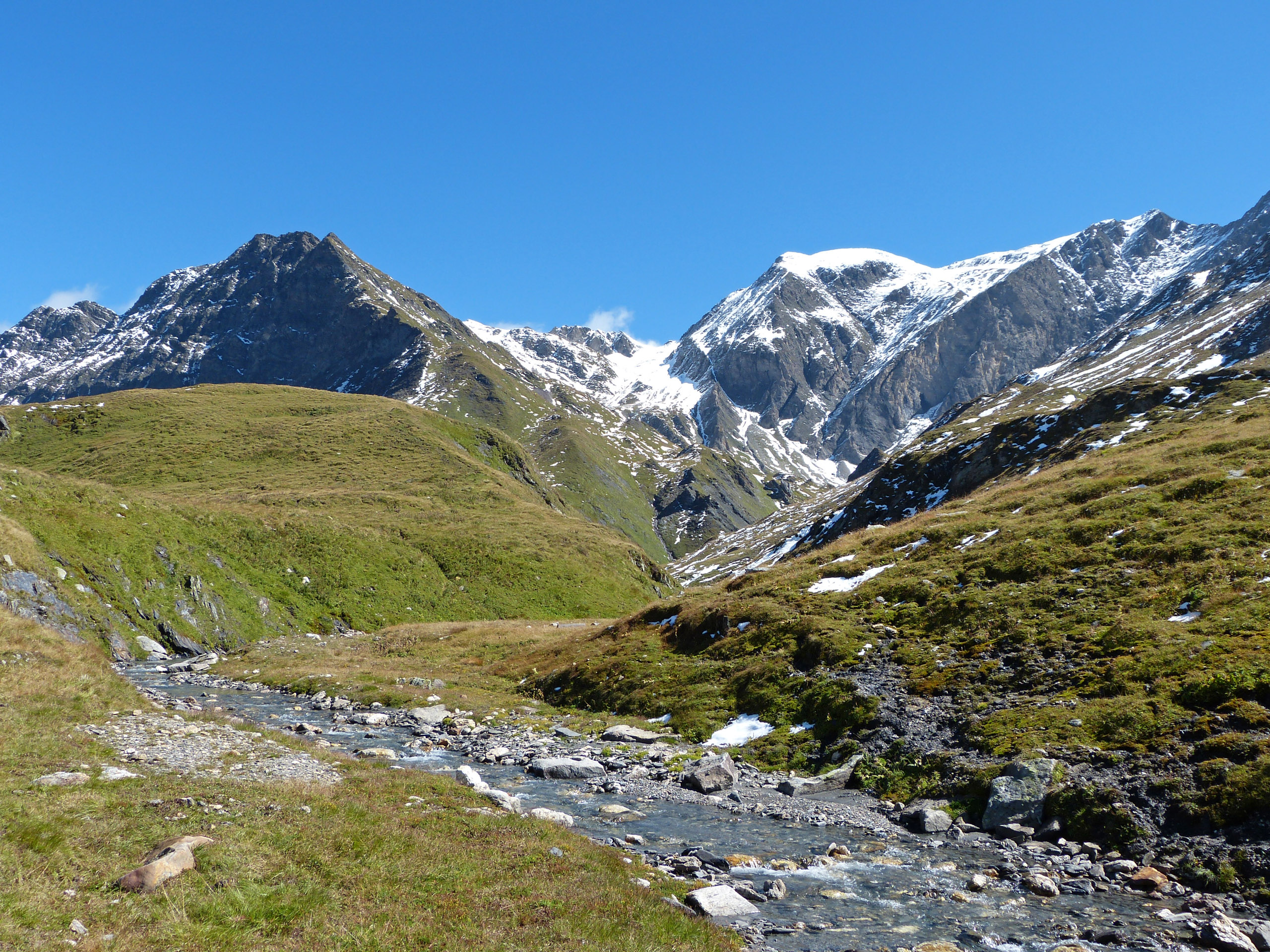 P1020537 bearbeitet 1