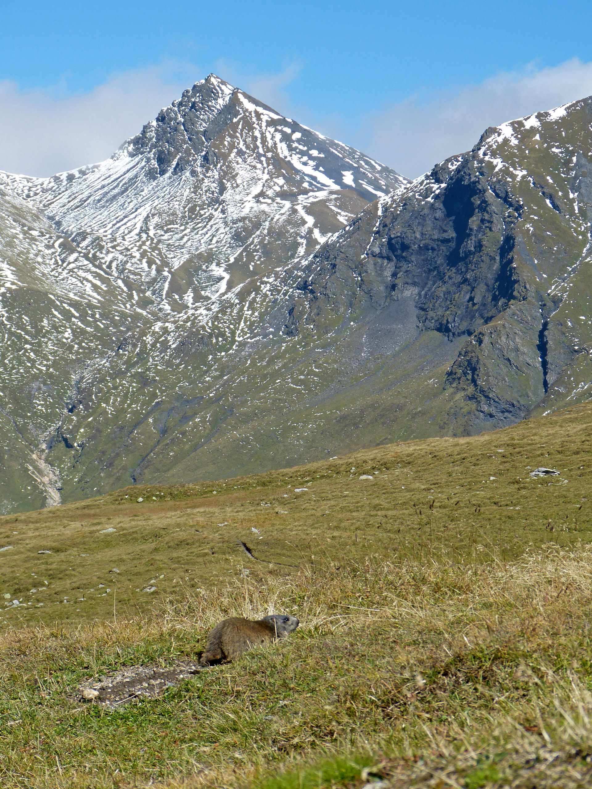 P1020556 bearbeitet 1